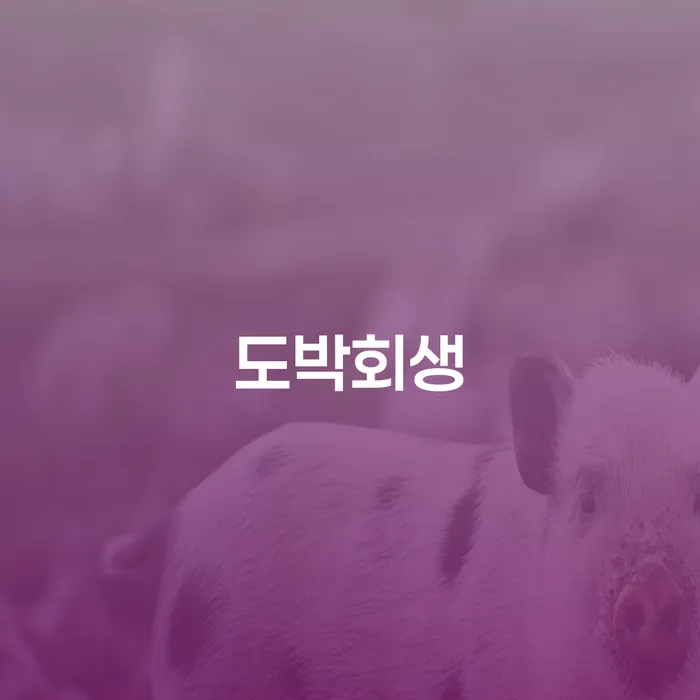 개인회생후신용등급 개인회생으로 현명하게 잘 하는 법률사무소