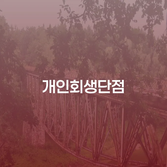빚갚는법 대출 받은 돈채무조정 잘 하는 법무법인