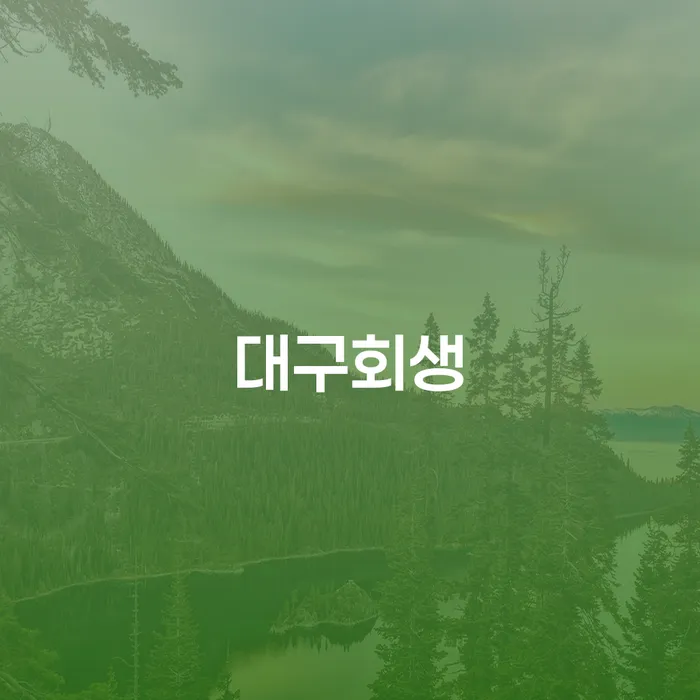 카드 연체 연체 채무 신속해결방법 결정이나고