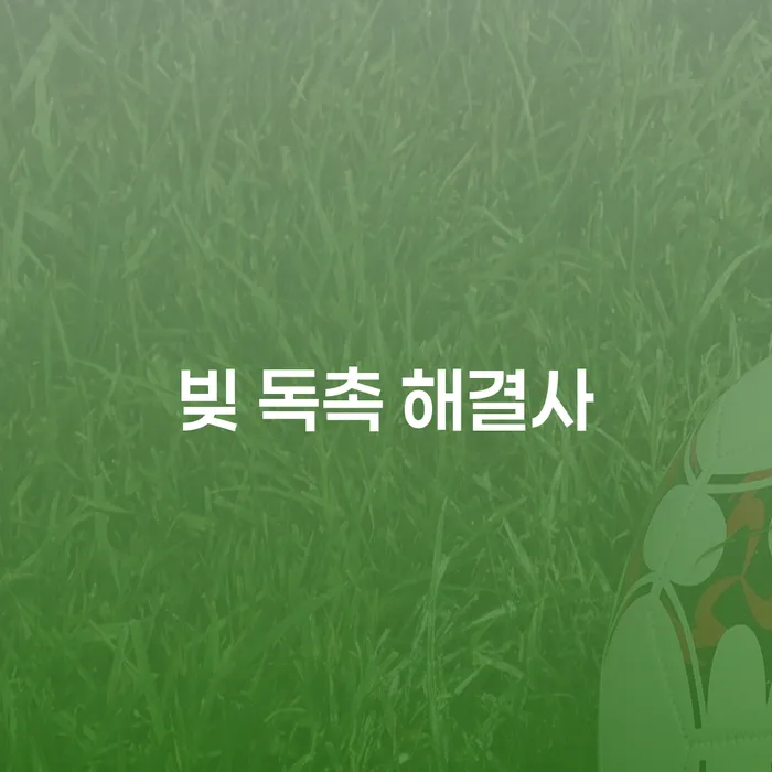 빚 독촉 해결사, 개인회생과 개인파산으로 벗어날 수 있을까?