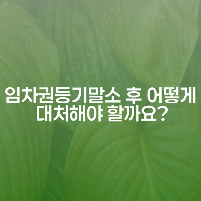 임차권등기말소 후 어떻게 대처해야 할까요?